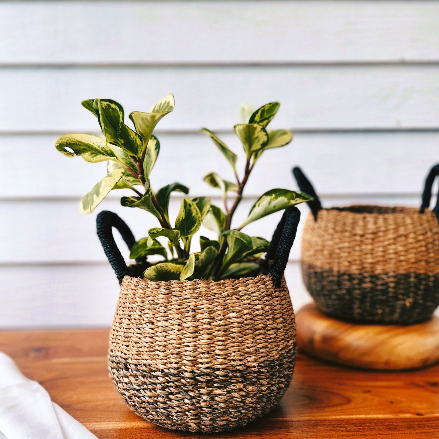 Aurora | Handmade | Basket Planter | Gift Basket